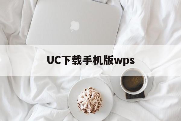 UC下载手机版wps(ucweb手机软件下载)-第4张图片-QuickQ官网