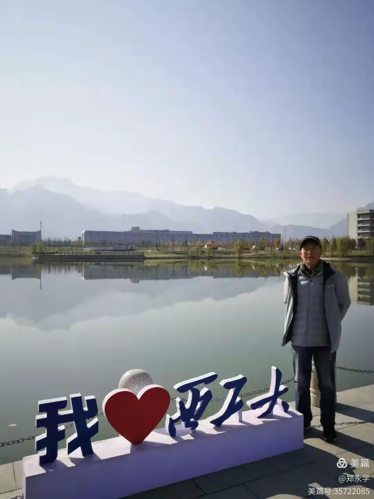 掌上公诚手机版(掌上公诚手机app)-第3张图片-QuickQ官网