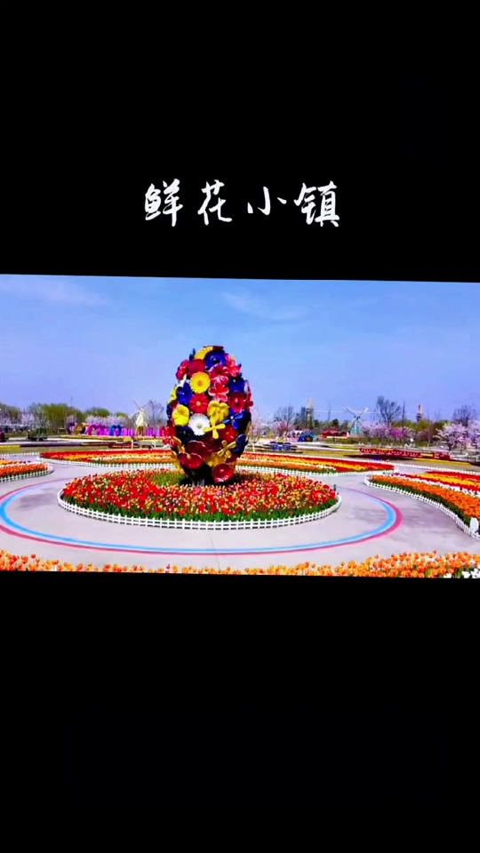 抖音版鲜花小镇下载安卓(抖音里的鲜花小镇游戏礼包码)-第5张图片-QuickQ官网